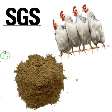 Supply Feed Grade 72% Protein Sea Fish Meal Protein Powder